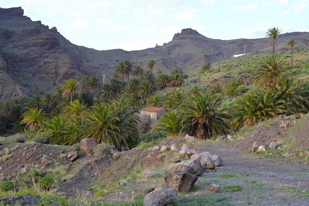 La Gomera, Canary Islands, tour of the island in three days